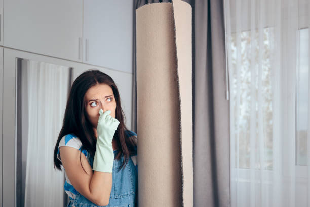 Best Mold Prevention Services  in , WI